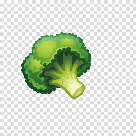 Vegetable Fruit Child Cauliflower Broccoli, Fresh cauliflower transparent background PNG clipart