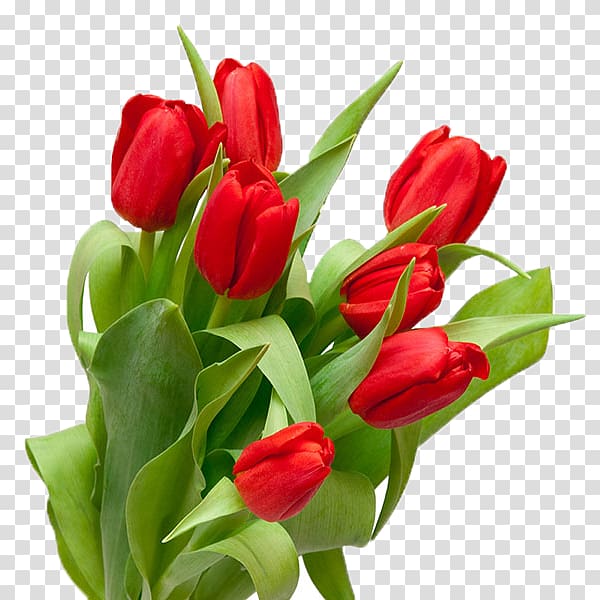 Saint Petersburg Tulip Flower bouquet, wild flowers transparent background PNG clipart