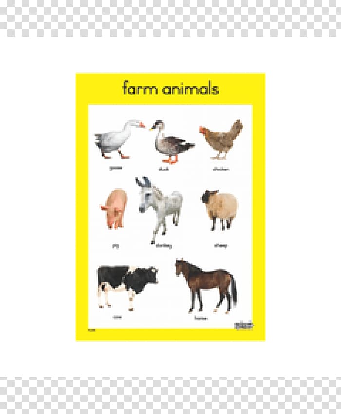 Pet Animal Farm SparkNotes Chart, others transparent background PNG clipart