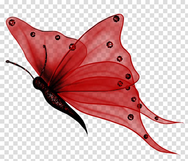 Butterfly Desktop , buterfly transparent background PNG clipart