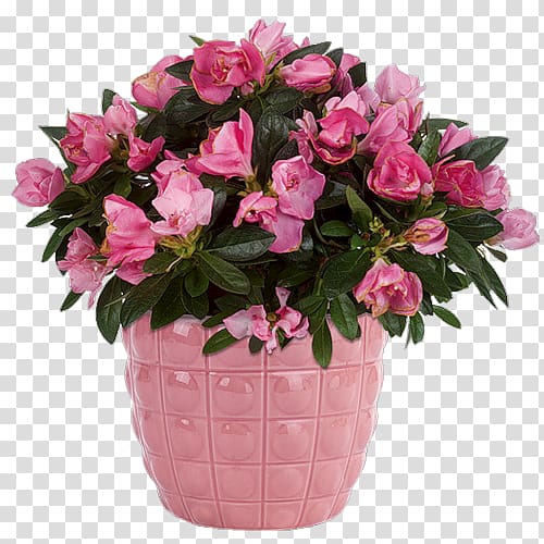 Birthday Flower delivery Floristry Menifee, Birthday transparent background PNG clipart