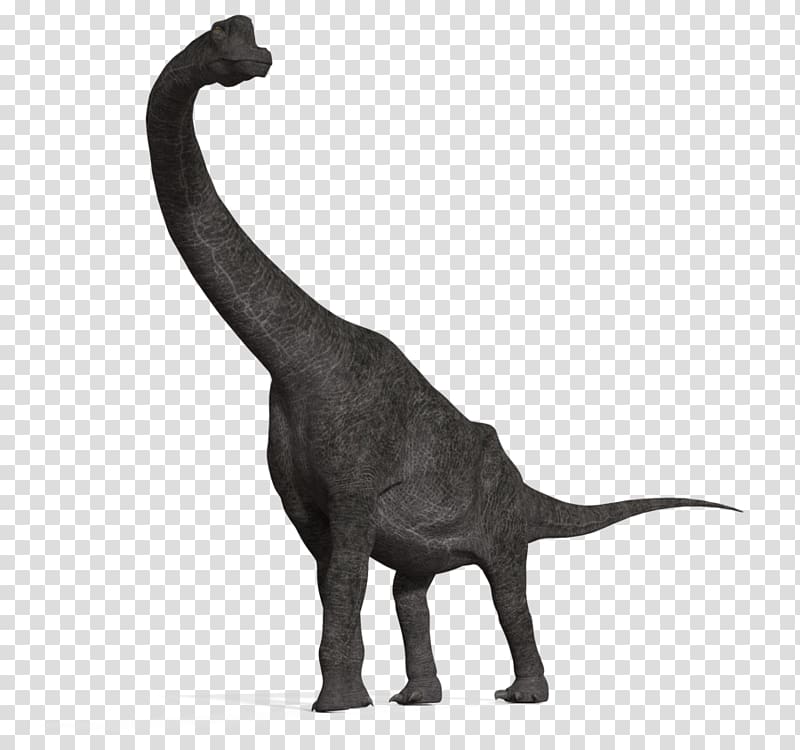 Brachiosaurus Apatosaurus Diplodocus Tyrannosaurus Plesiosauria, dinosaur transparent background PNG clipart