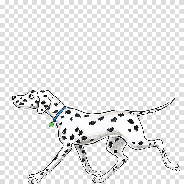 Dalmatian dog Puppy Hairy Maclary from Donaldson\'s Dairy Dog breed, scooters. transparent background PNG clipart