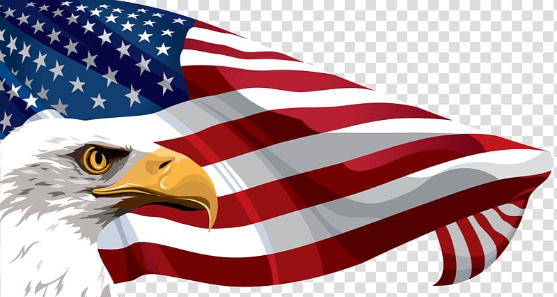 Flag of the United States , American Flag transparent background PNG clipart