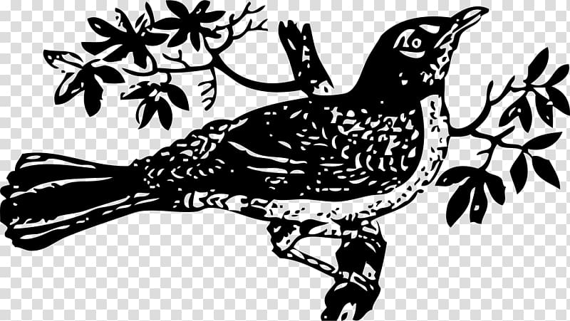 To Kill a Mockingbird , rama transparent background PNG clipart