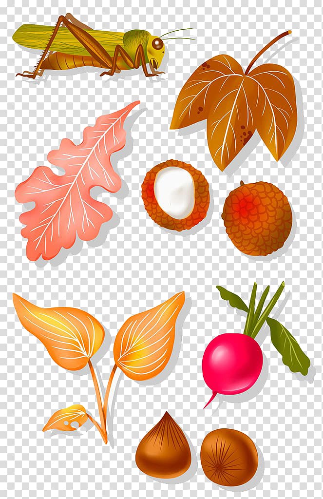 Lychee Fruit, Grasshoppers and lychee transparent background PNG clipart