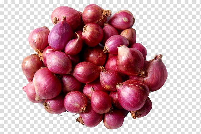 Sambar Shallot Vegetable Red onion Potato, onions transparent background PNG clipart
