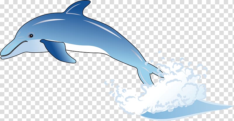 Common bottlenose dolphin Wholphin Tucuxi Cartoon, Dolphin material transparent background PNG clipart