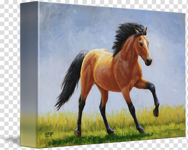 Mustang Mane Stallion Foal Mare, running horses transparent background PNG clipart