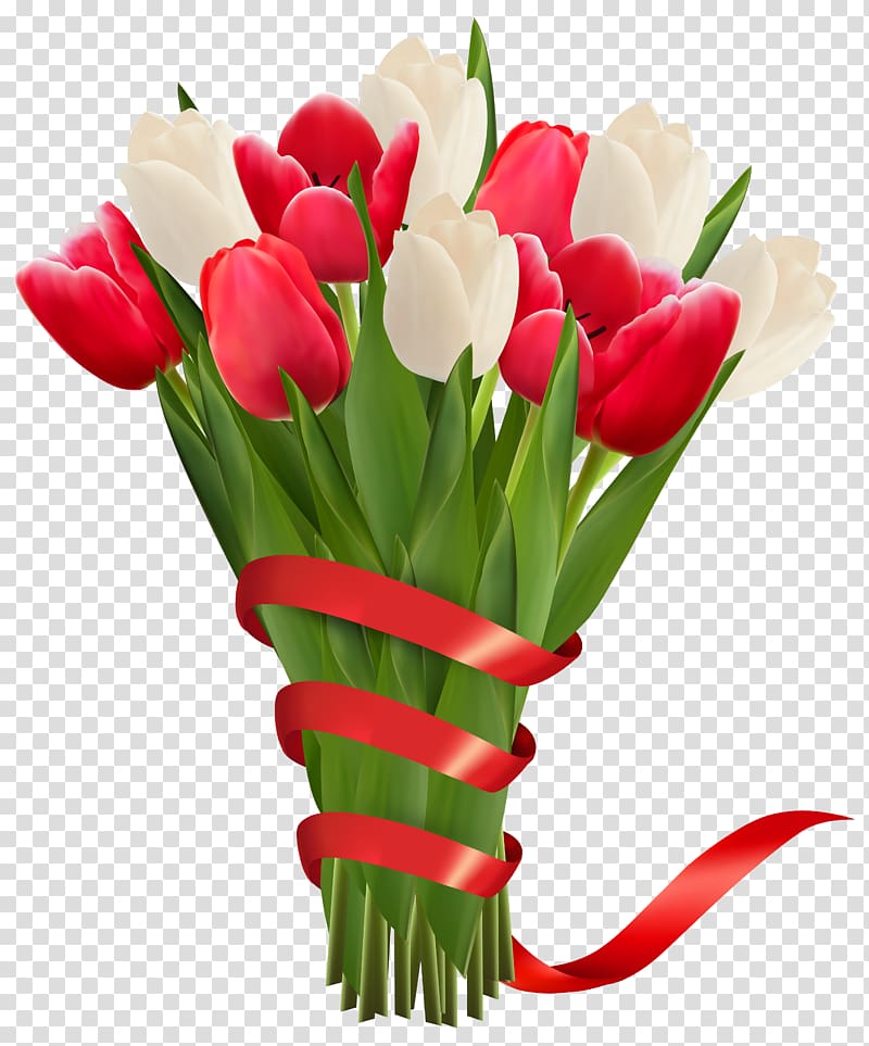 red and white tulips flowers, White and Red Tulips with Ribbon transparent background PNG clipart