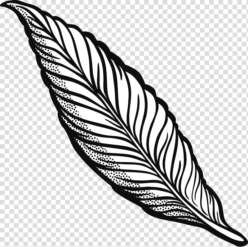 Line art Drawing Feather , feather transparent background PNG clipart