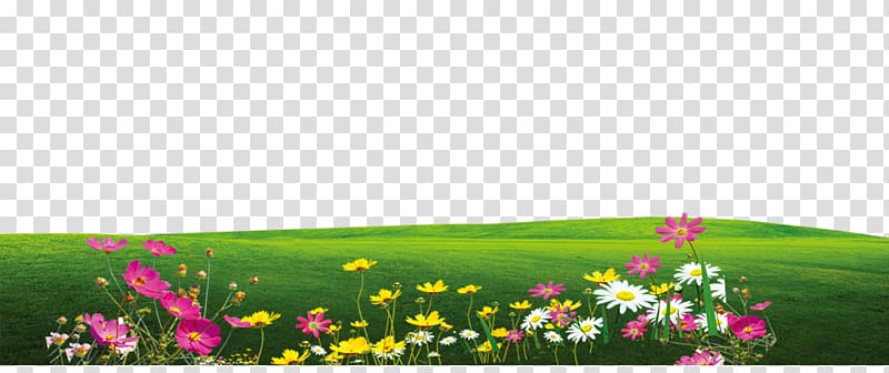 Chemical element Pattern, Effect element,Floral elements,Flowers,green,lawn transparent background PNG clipart