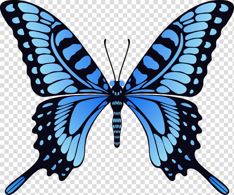 Monarch butterfly Animation footage, Blue Butterfly transparent background PNG clipart