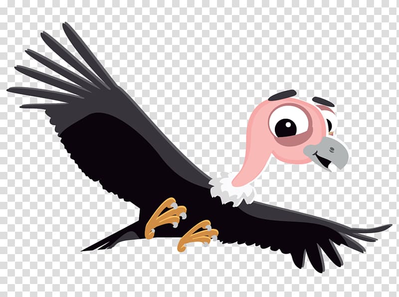 Colca Canyon Bird Andean condor Desktop , Vulture transparent background PNG clipart