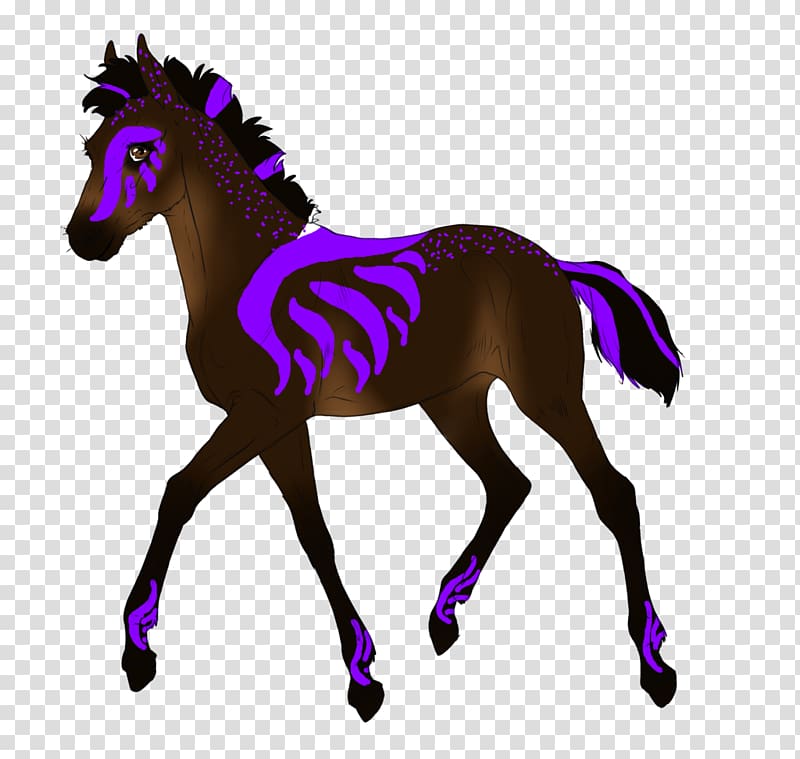 Pony Mustang Australian Horse Morgan horse Stallion, mustang transparent background PNG clipart