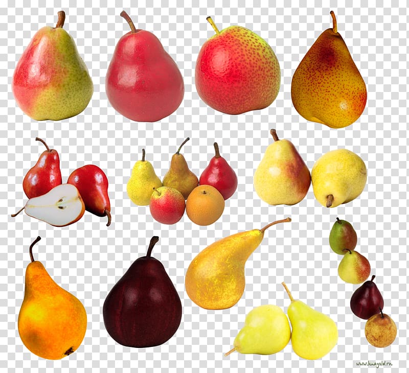 Pear transparent background PNG clipart