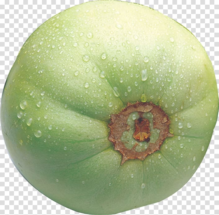 Hami melon Eating Food Auglis, vegetables transparent background PNG clipart