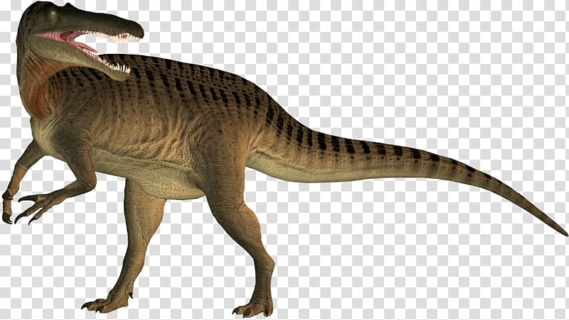 Suchomimus Tyrannosaurus Dinosaur Velociraptor Spinosaurus, dinosaur transparent background PNG clipart