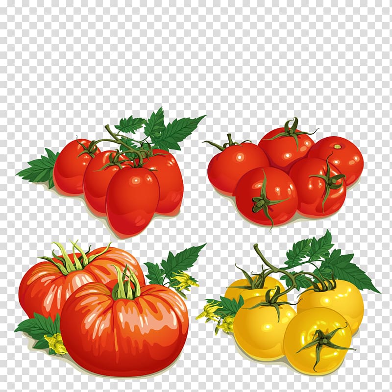 Cherry tomato Tomato soup Vegetable, Food Tomatoes transparent background PNG clipart