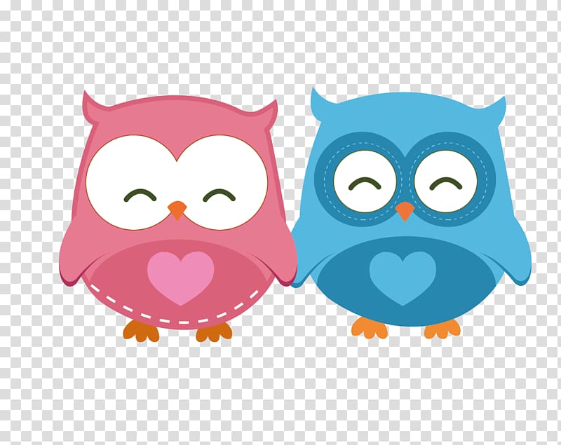 Little Owl Drawing, Owl pairs transparent background PNG clipart