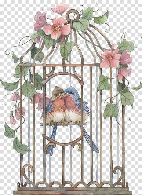 two pink-and-blue birds illustration, Birdcage Birdcage, birdcage transparent background PNG clipart