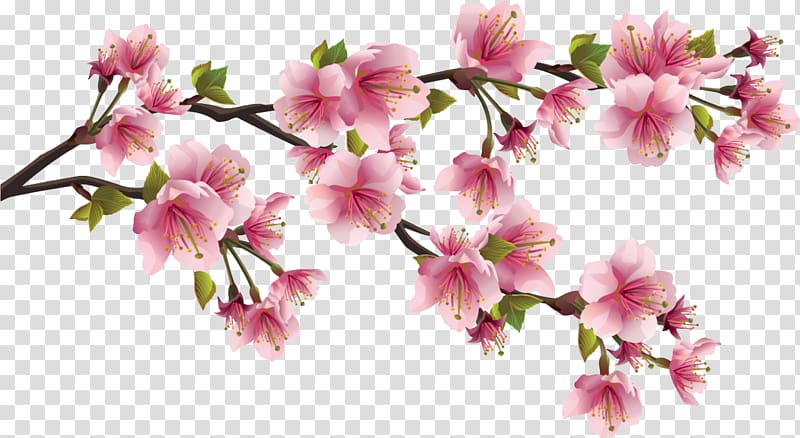 Paper Cherry blossom , peach branch transparent background PNG clipart