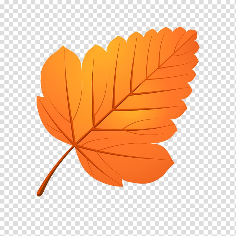 Catnip Leaf Drawing Pattern, Leaf transparent background PNG clipart