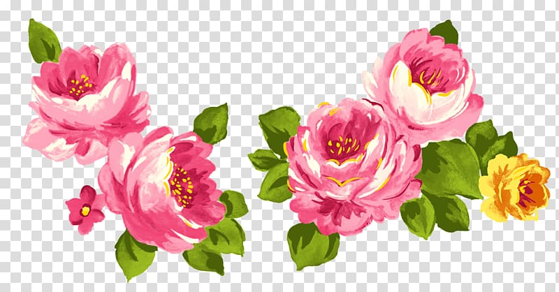 Centifolia roses Flower Pink Garden roses, watercolor rose transparent background PNG clipart