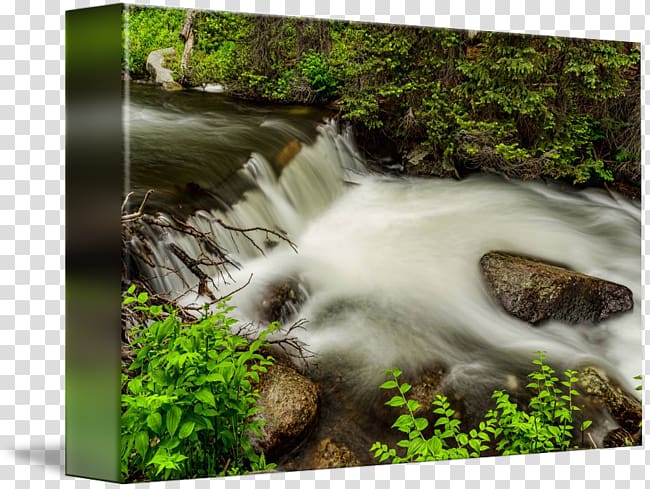 Nature reserve Water resources Waterfall Tree Rainforest, Mountain Stream transparent background PNG clipart