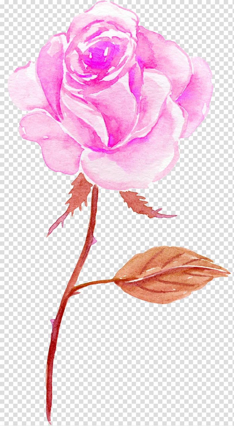 pink rose flower illustration, Flower Watercolor painting, Watercolor Flowers Flowers transparent background PNG clipart