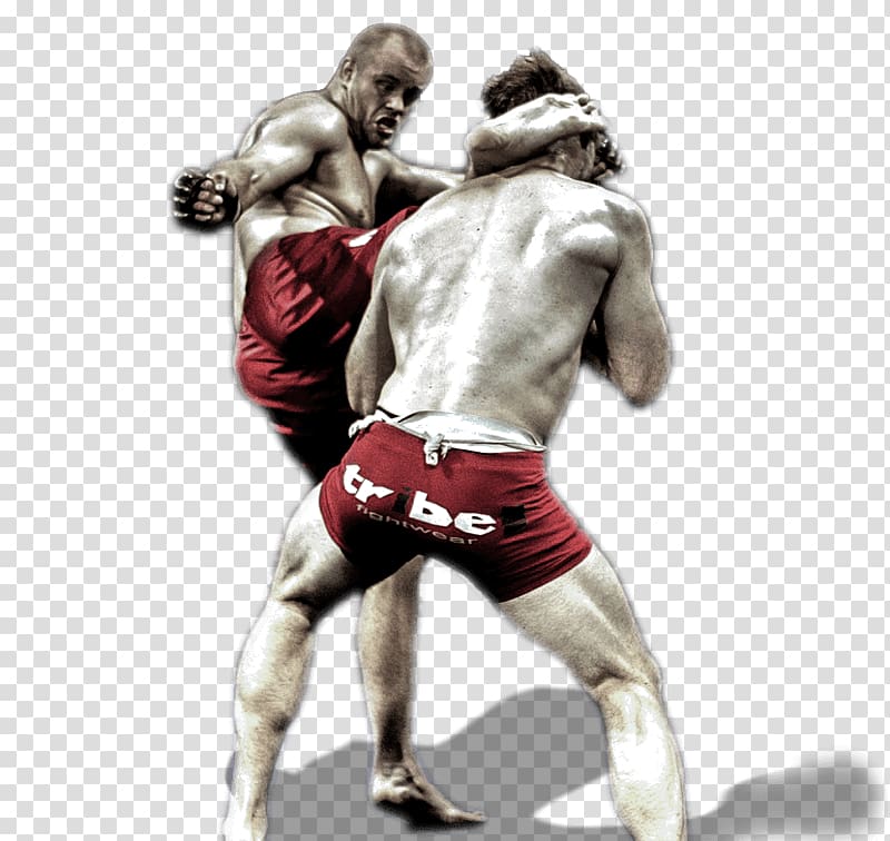 Pradal serey Portable Network Graphics Transparency, mixed martial arts transparent background PNG clipart