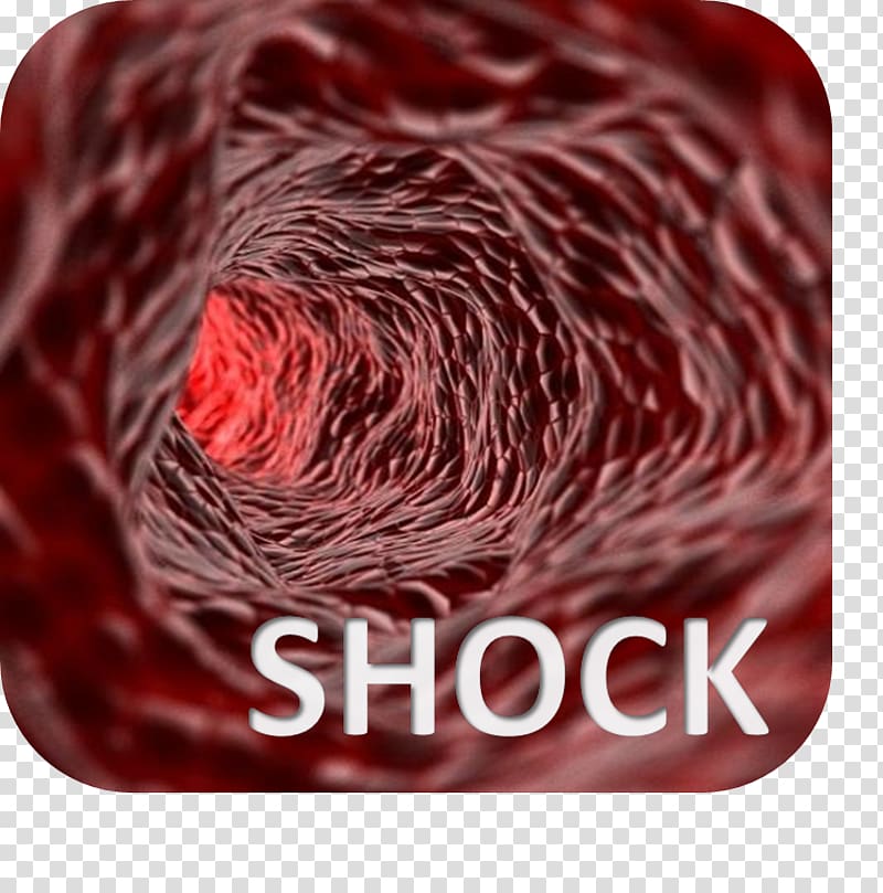 Perfusion Blood vessel Septic shock Endothelium, blood transparent background PNG clipart