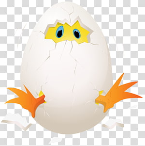 Broken Egg PNG Clip Art - Best WEB Clipart