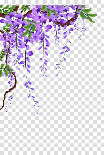 wisteria vines material transparent background PNG clipart
