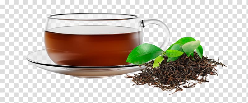 Assam tea Mate cocido Green tea Oolong, green tea transparent background PNG clipart