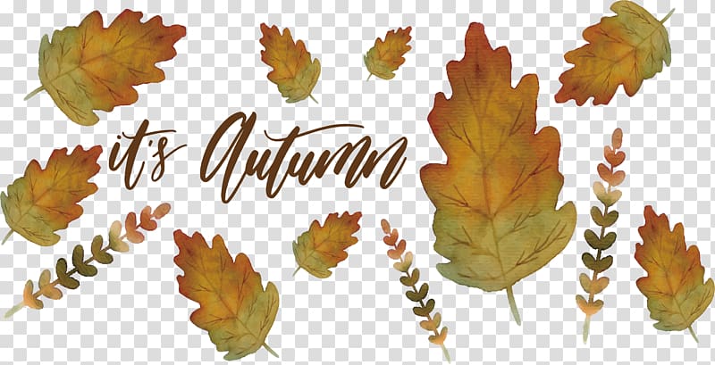 Leaf Watercolor painting Euclidean , Wavy lace leaves transparent background PNG clipart