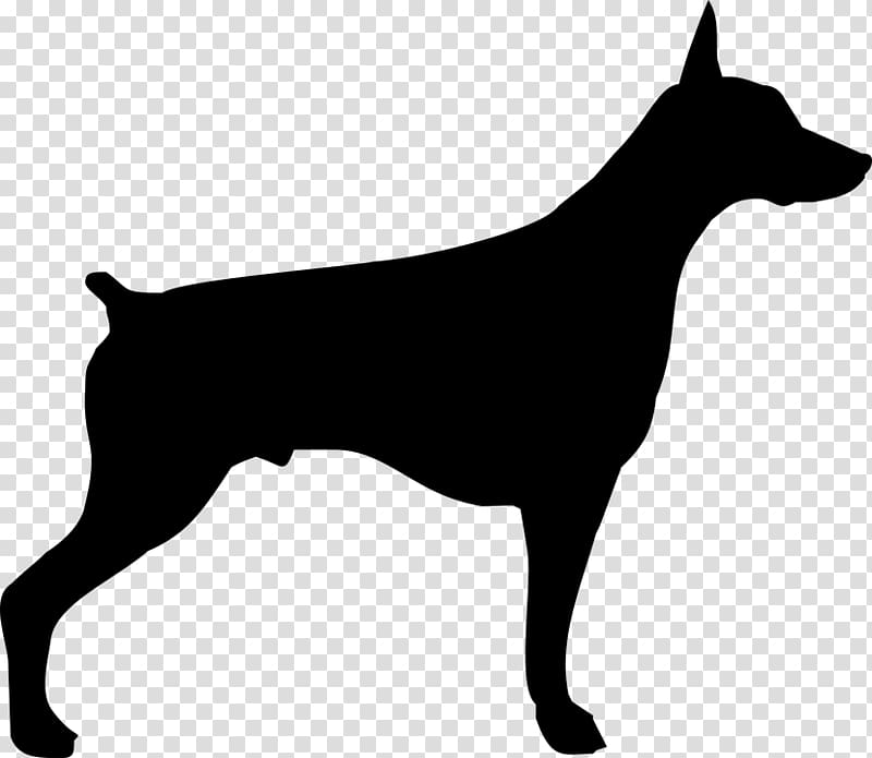 Dobermann German Pinscher Miniature Pinscher Puppy Rottweiler, dobermanface transparent background PNG clipart