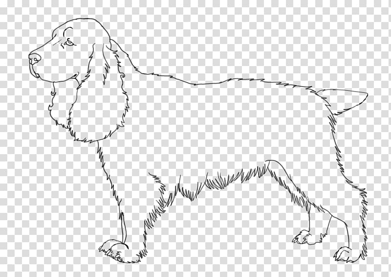 Dog breed Puppy Field Spaniel English Springer Spaniel Welsh Springer Spaniel, puppy transparent background PNG clipart