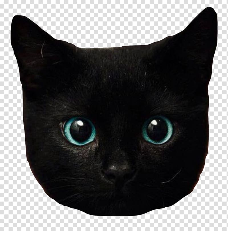 Kitten Eye Black cat Bombay cat British Longhair, kitten transparent background PNG clipart