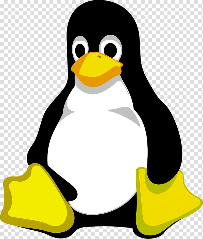 Linux Portable Network Graphics Tux Free software, linux transparent background PNG clipart