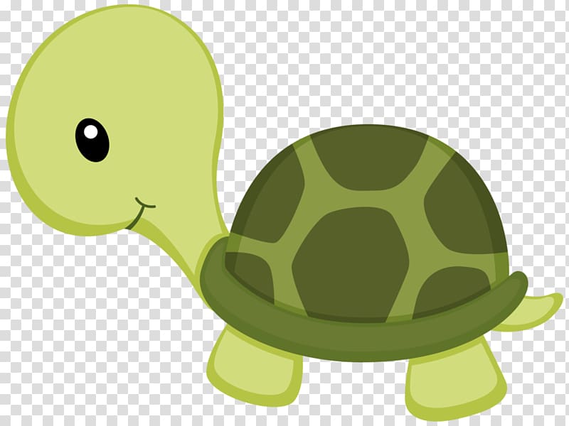 green turtle , Turtle Drawing , under sea transparent background PNG clipart