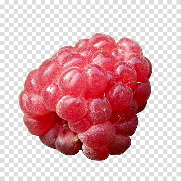 Red raspberry Fruit Health, raspberry transparent background PNG clipart