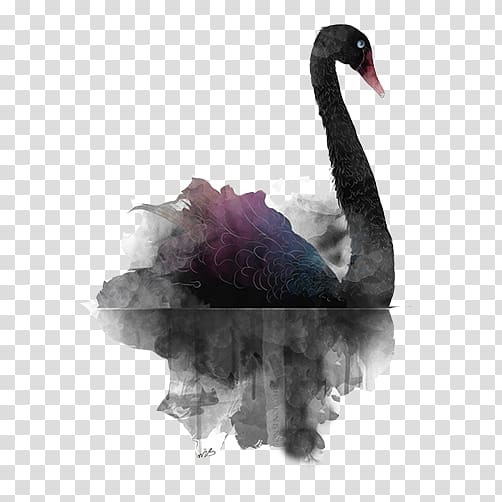 Black swan theory, Black swan swimming in ink transparent background PNG clipart