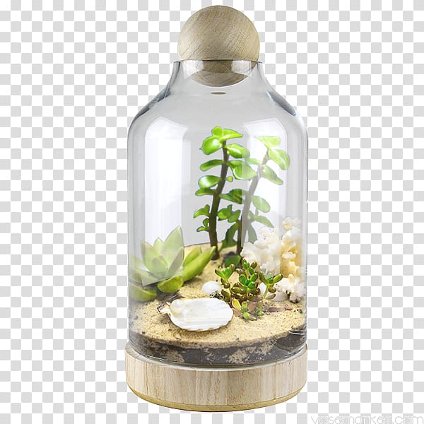 Glass bottle Bell jar Cloche Terrarium, glass transparent background PNG clipart