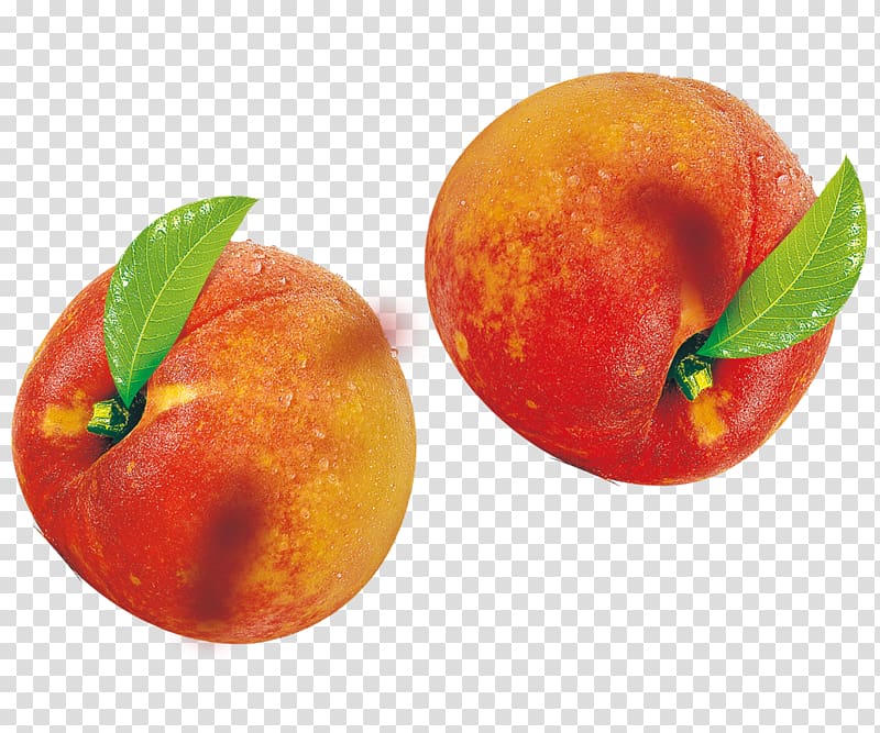 Peach Blood orange Fruit, peach transparent background PNG clipart