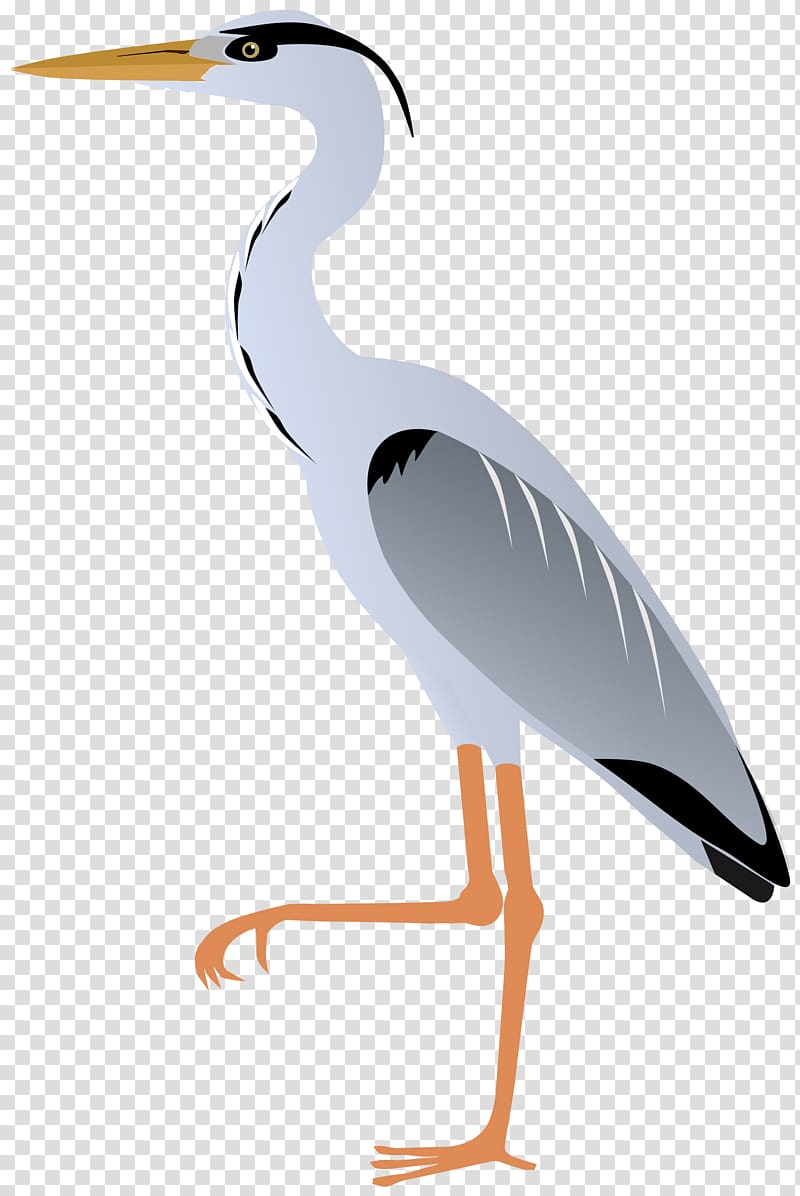 Crane Bird Grey heron Great egret Great blue heron, crane transparent background PNG clipart