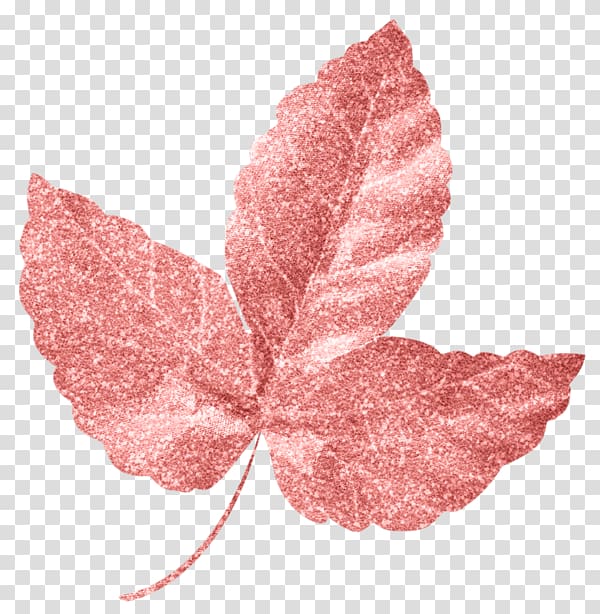 Pink M, floating leaves transparent background PNG clipart