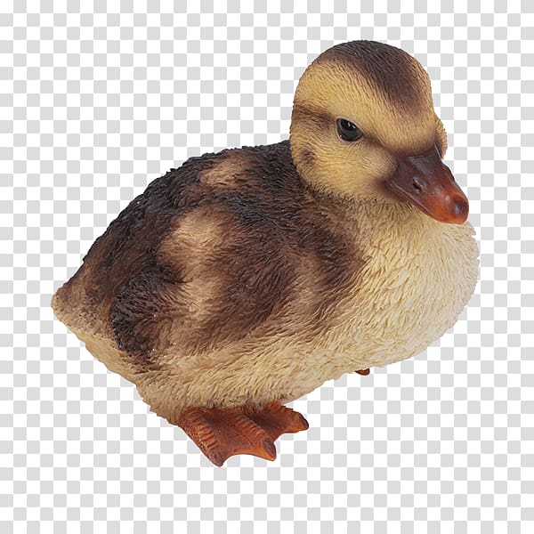 Mallard Duckling Duckling Bird, duck transparent background PNG clipart