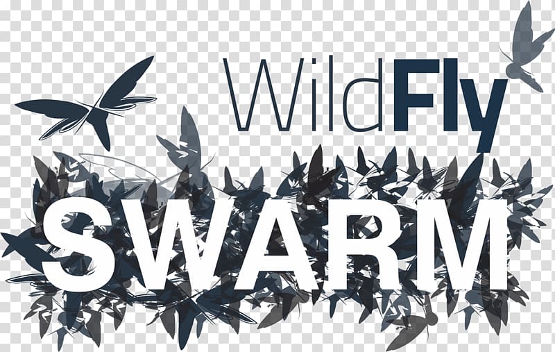 WildFly Hibernate Java Platform, Enterprise Edition JBoss, Swarm transparent background PNG clipart