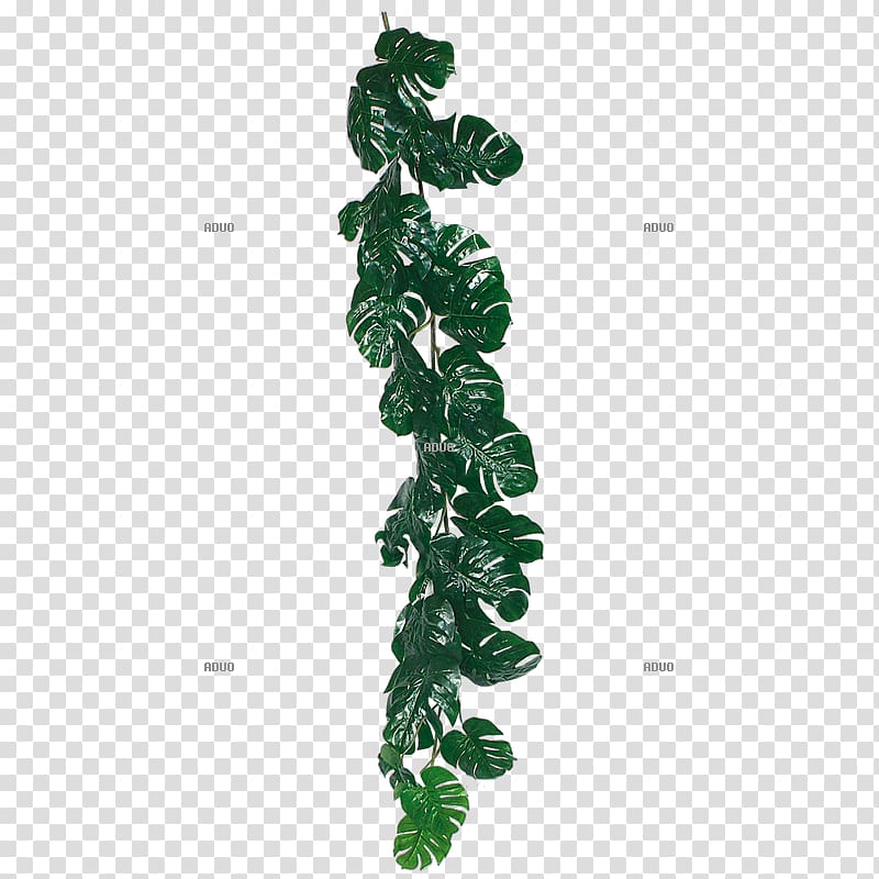Jungle Old-growth forest Green Leaf Liana, jungle transparent background PNG clipart